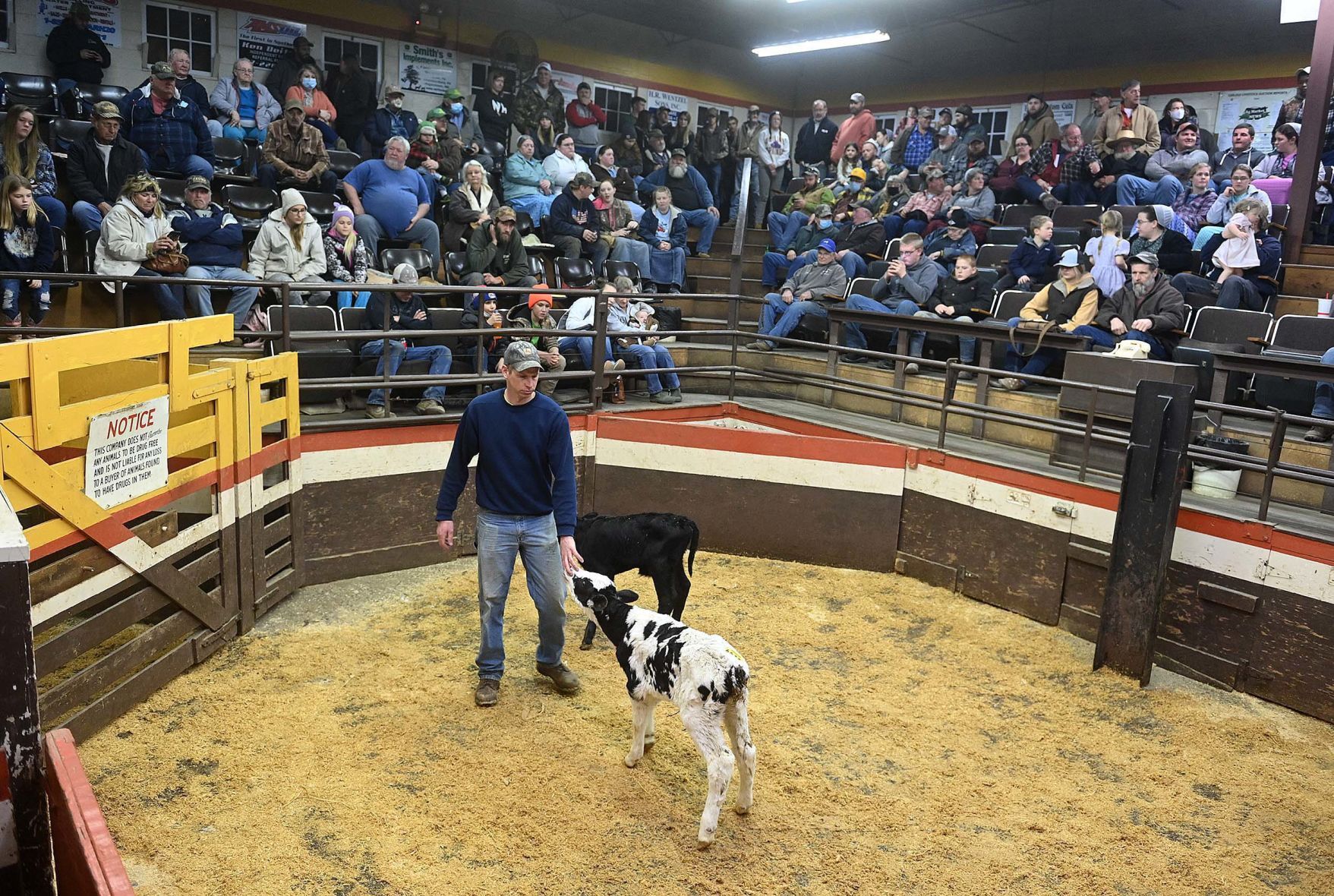 Carlisle Livestock Auction 25.JPG